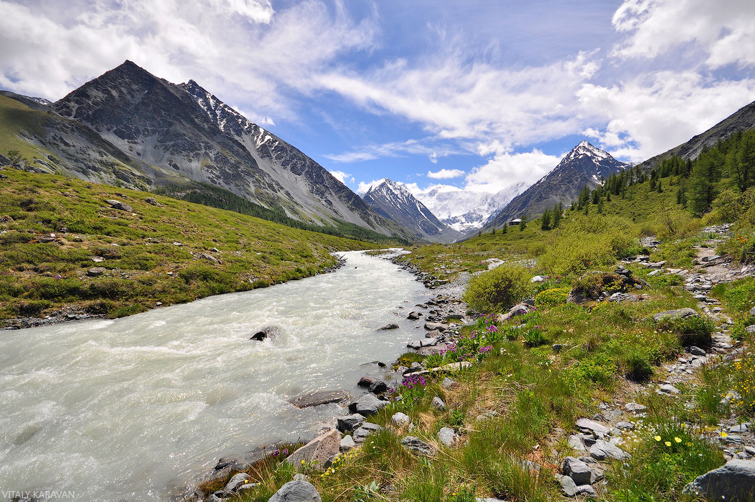 Алтай река Аккем июнь подножие Белухи красивое фото