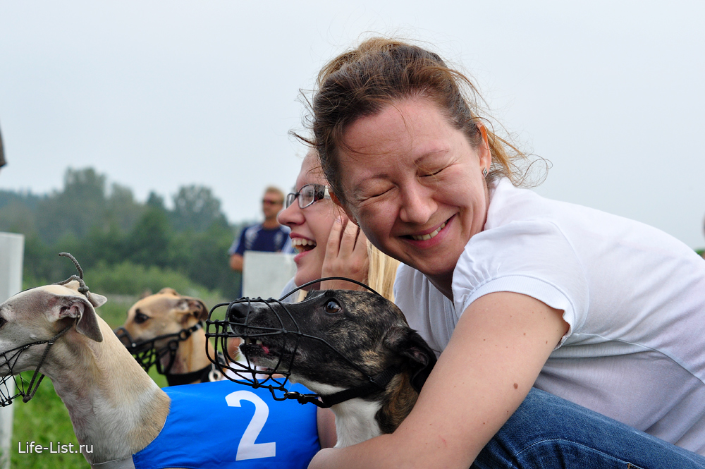 уиппет и хозяйка эмоциональное фото на собачьих бегах