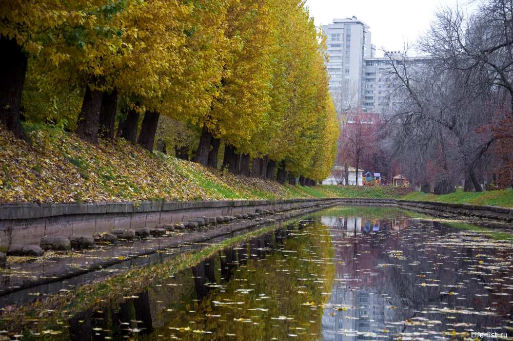 В парке Красная Пресня желтые листья пруд