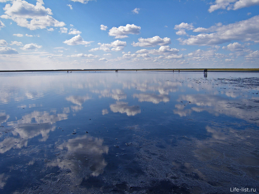 Мертвое озеро курганская область. Озеро Медвежье Курганская область. Медвежье озеро соленое Курганская. Солёное озеро в Курганской области. Озеро Медвежье Урал.