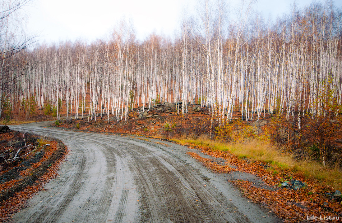 дорога на гору Юрма осень Южный Урал