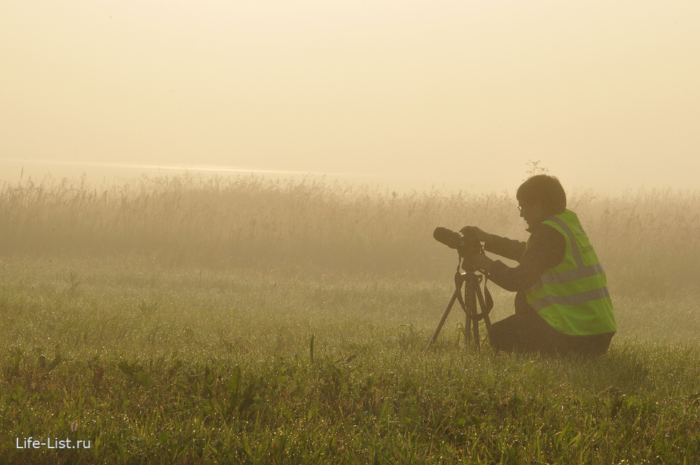фотограф споттер в поле в аэропорту Кольцово