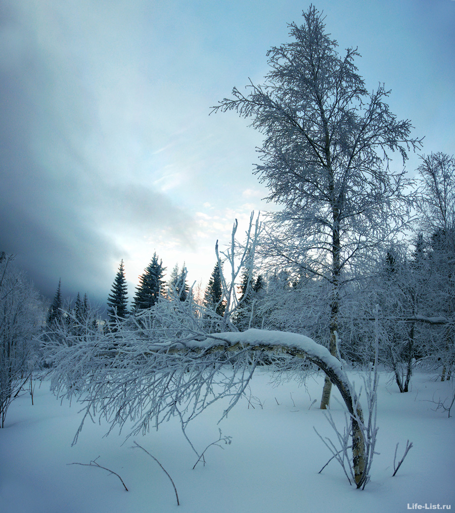Уральская природа зимой хребет Уреньга Южный урал фото