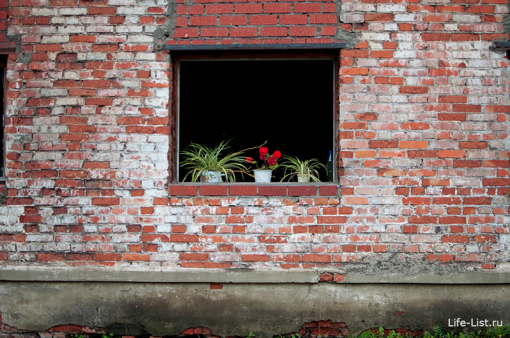 уфалейский завод металлоизделий окна цветы