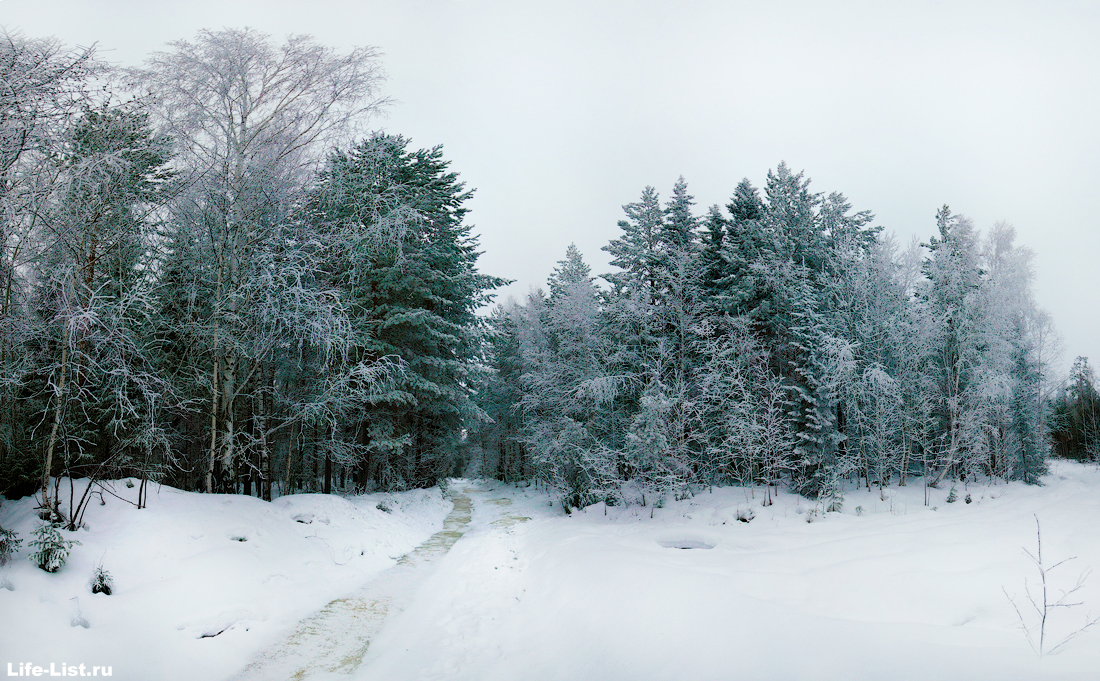 Уральский зимний лес фото Виталий Караван